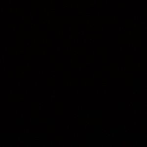 Meet your Posher, Amia